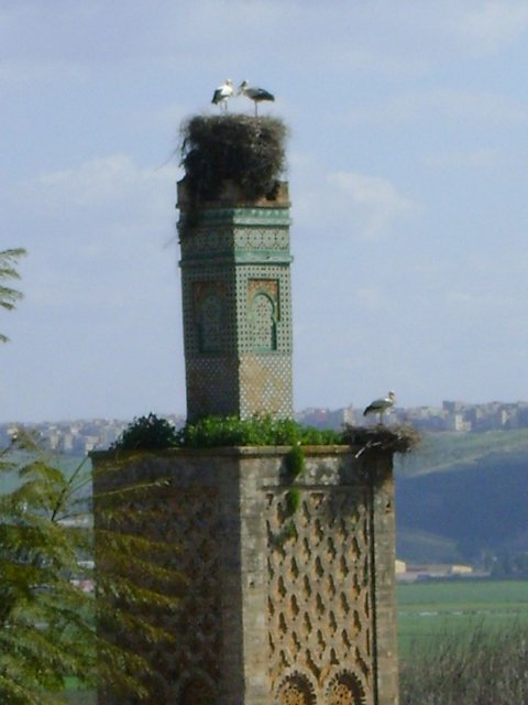 Minaret in Chellah