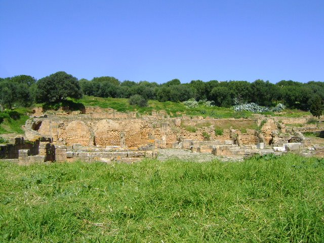 Old Roman city, Chellah