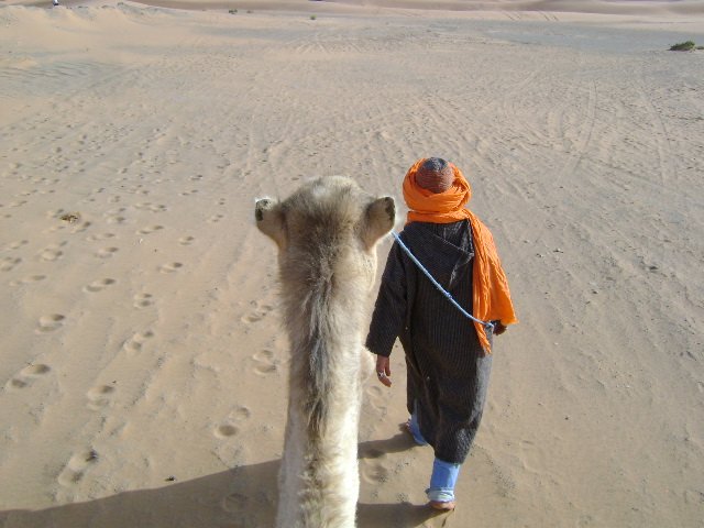 View from the camel