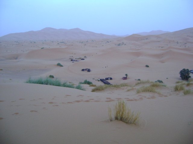 Dunes in the cool evening