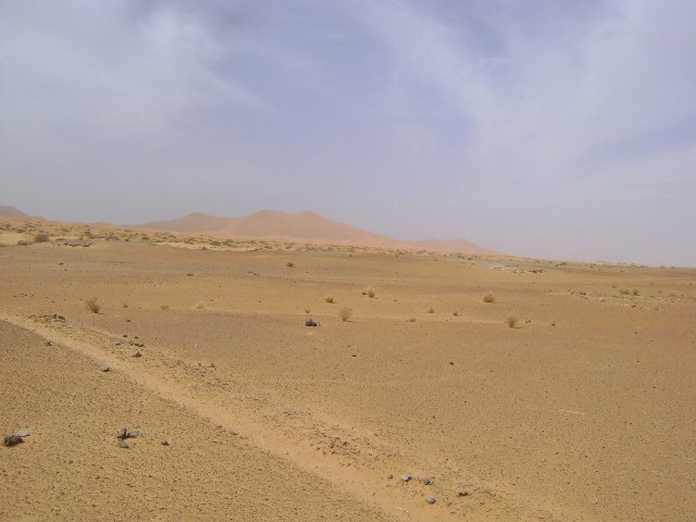 Beginning of the black desert