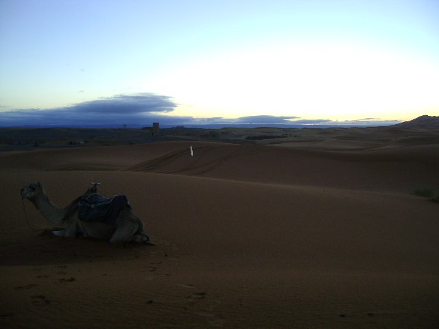 Dunes, before sunrish