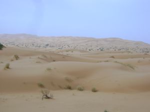Low-light dunes