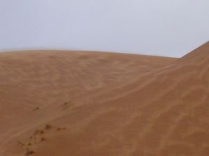 Sand storm 1