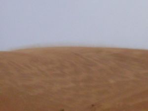 Sand storm 2