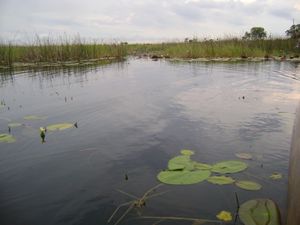 Khama Rhino Sanctuary