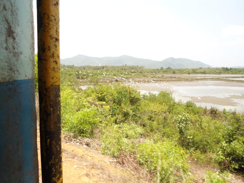 View from the train door, near Goukarna