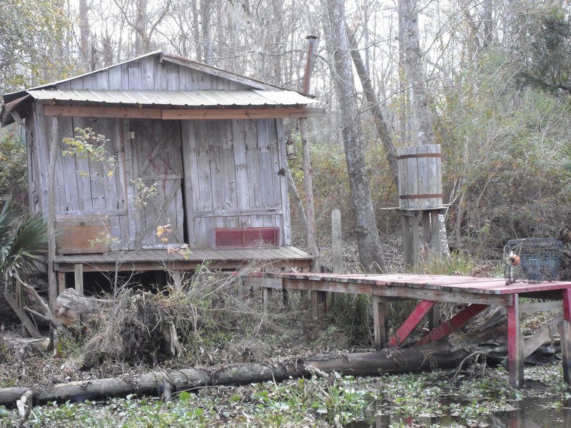 Swamp shack
