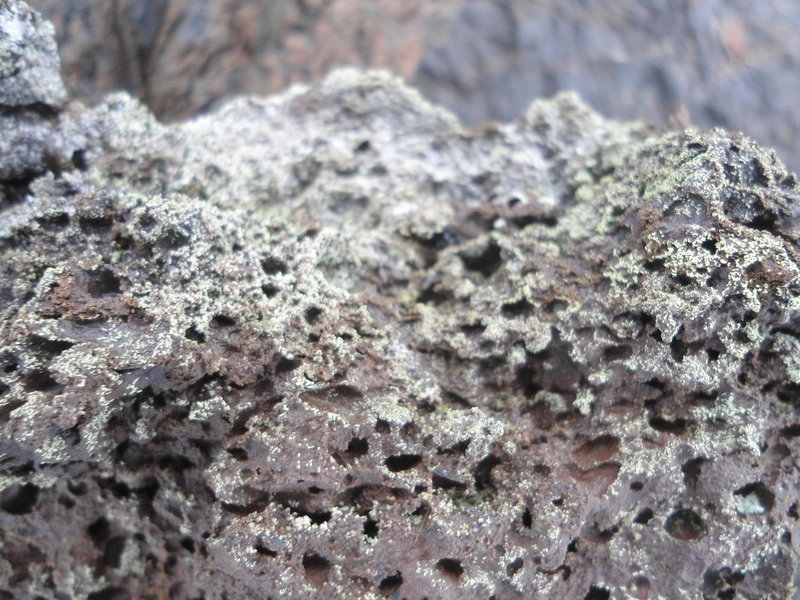 Lava rock close-up