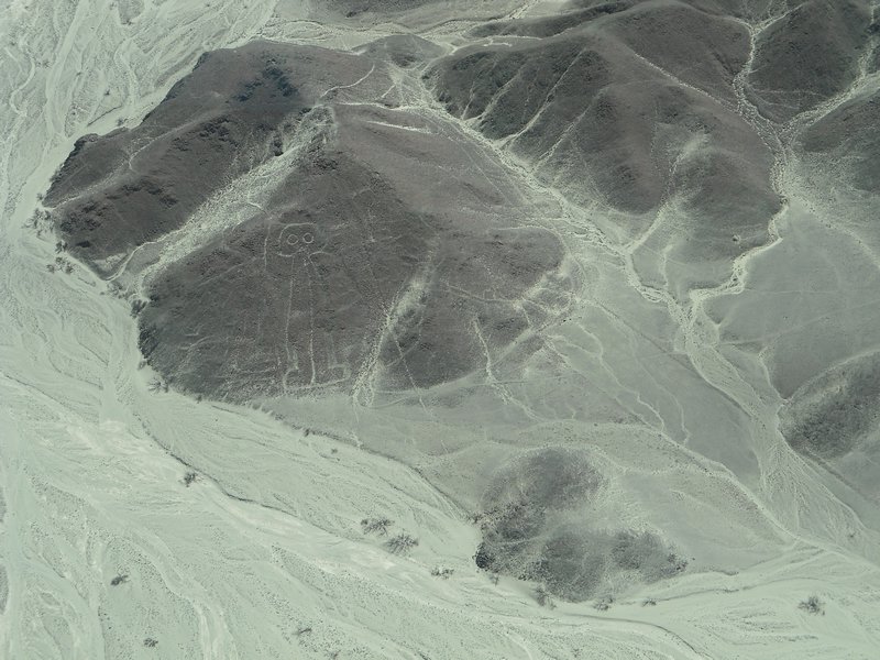 Nazca lines 1