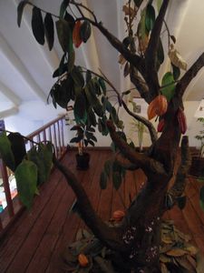 Paper mache cacao tree