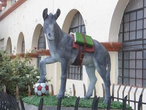 Donkey and Football. Potential pub name?