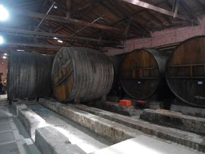Mendoza vineyard barrels