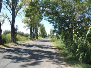 The wine route, Mendoza
