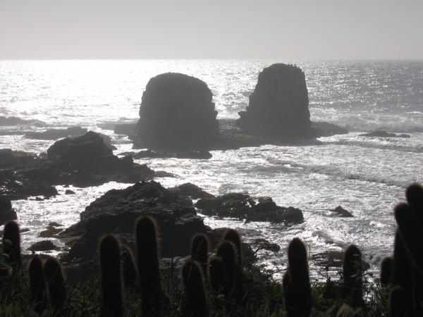 Punta de Lobos