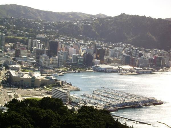 Downtown Welly