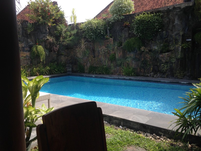 Beautiful guesthouse pool in Yogyakarta