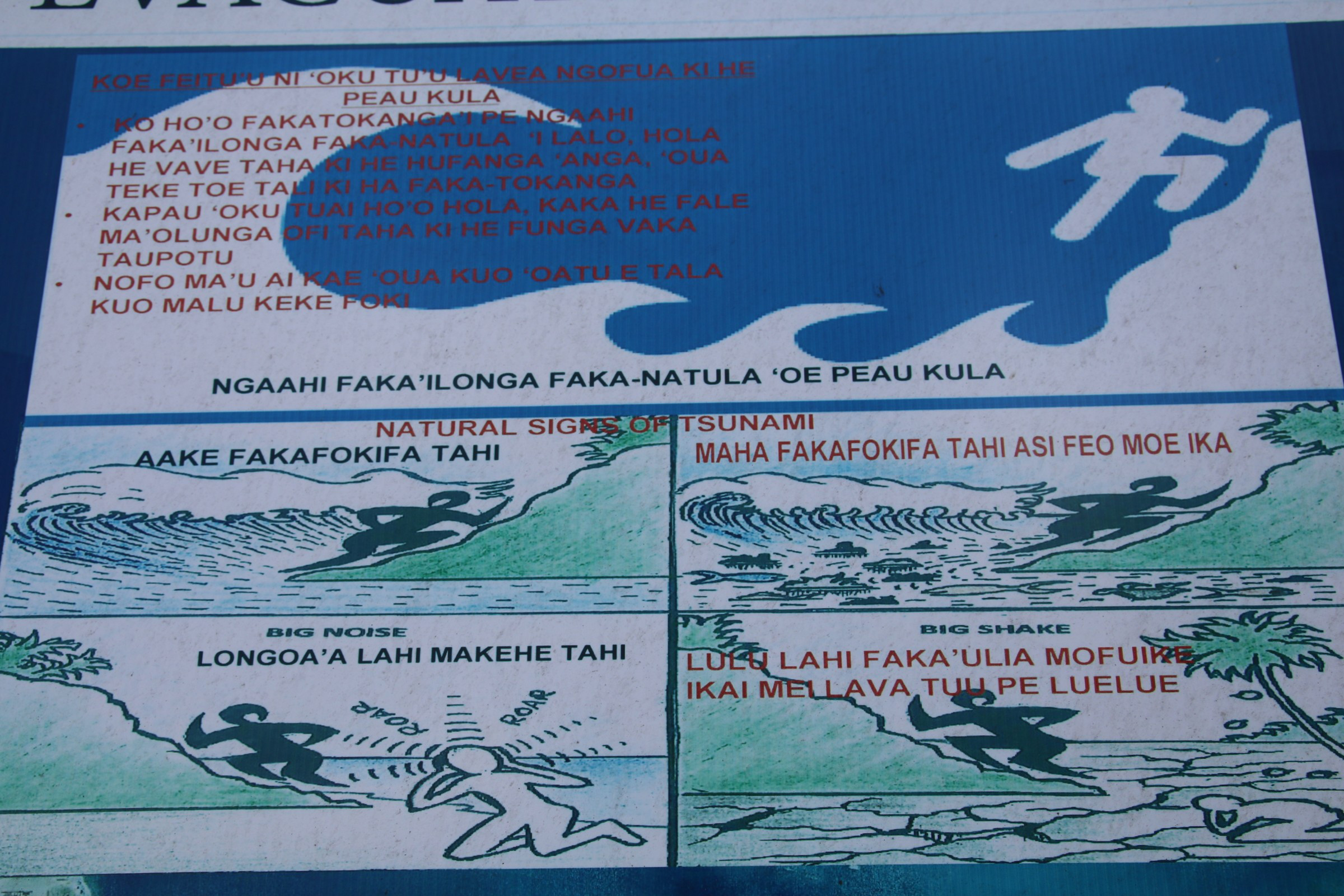 Tsunami Warning Poster Photo