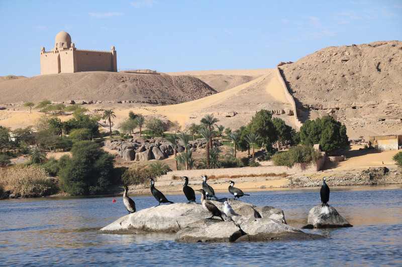 Aga Khan mausoleum and cormorants 