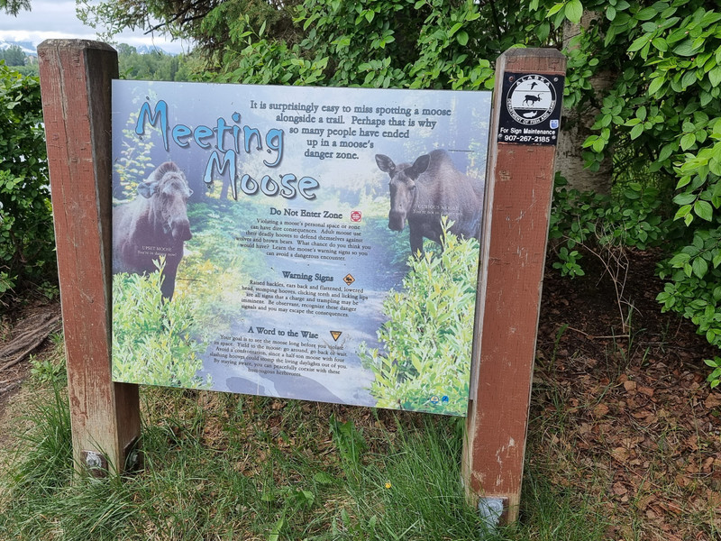 Moose warning