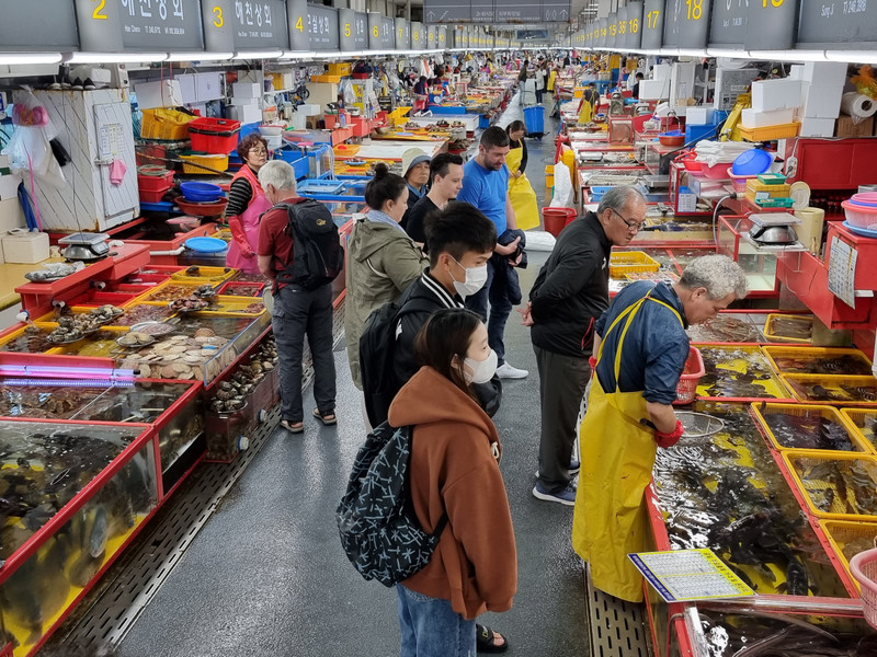 Busan fish market