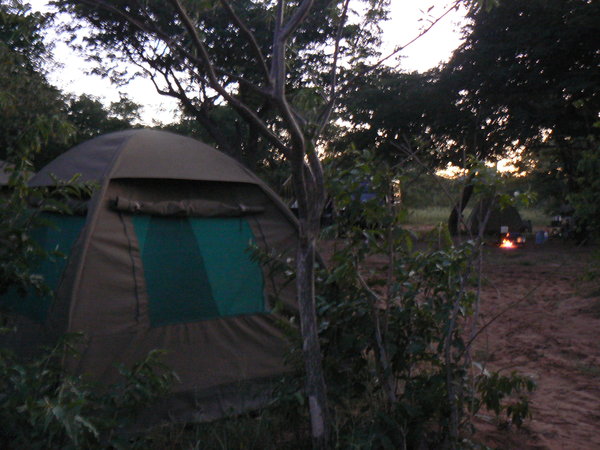 Bush camping in Chobe national park