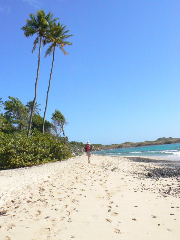 Walking another beach trail