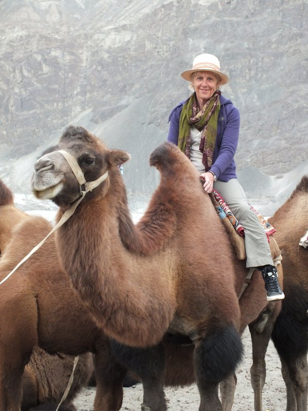 Gill rides a bactrian camel