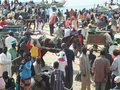 Mbour fish market