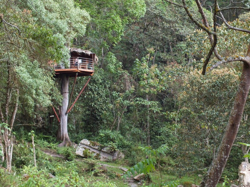 First view of our tree house