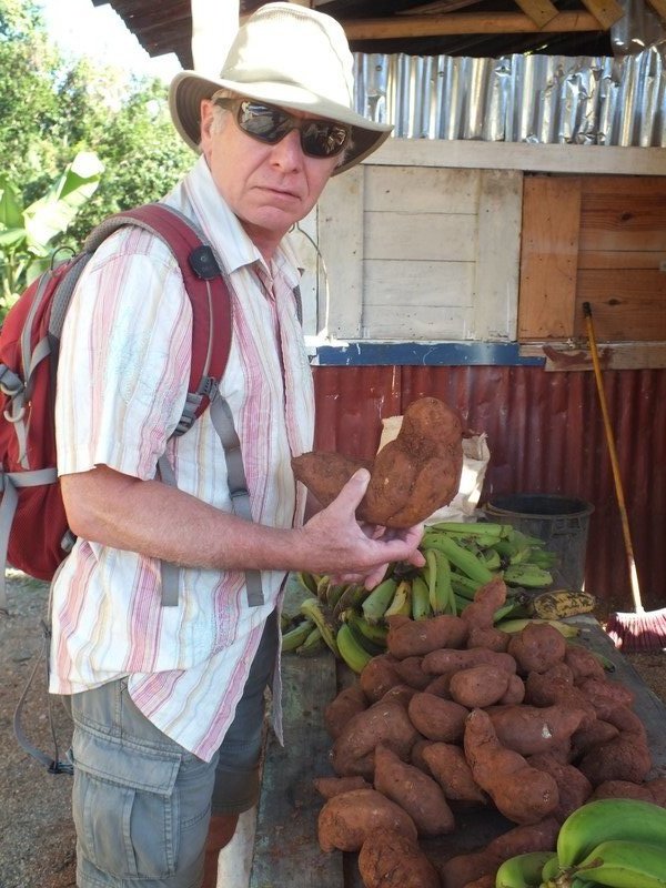 Buying sweet potatoes