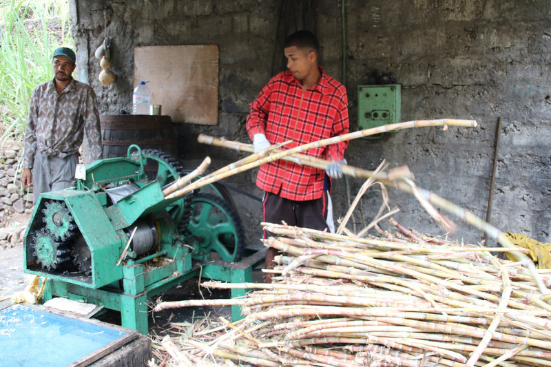 Milling sugar cane for juice for grog