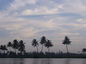 Amazing view from our boat - Kollam to Allepey