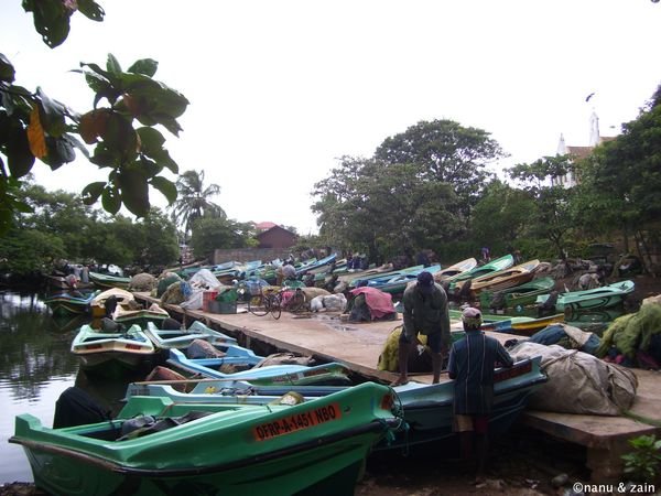 Fishing boats - Negombo