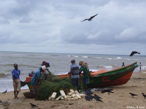 A fishing boat on Negombo beach