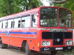 CTB - Local bus - Negombo