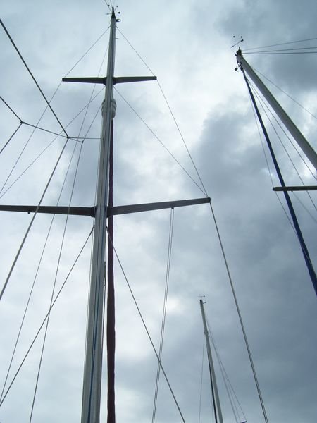Many masts....grey sky
