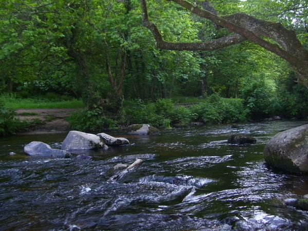river Teign