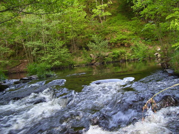 Gorgeous river Teign runs fast & furiosuly....