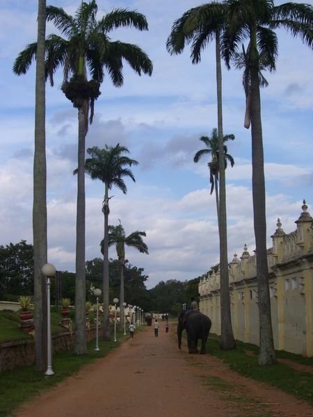 Along the wall of the Palace of Mysore