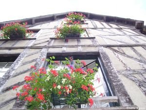 Flowers at the balcony - Dinan