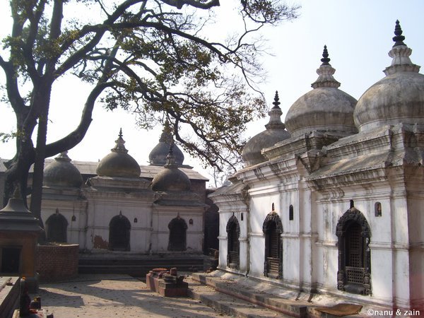 Shiva temples - Pashupatinath