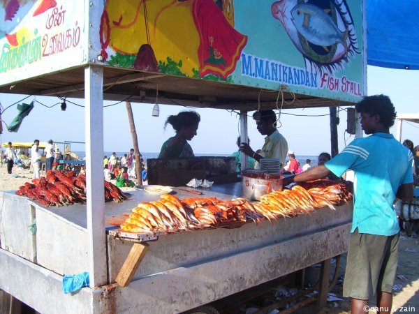 Fish shop on Marian Beach