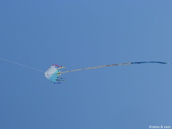 Kite runner - Marina Beach