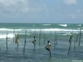 Stilt fishermen - Ahangama