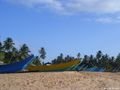 Boats on the beach - Tangalle