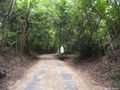 The road throug Lahugal Forest - Ampara
