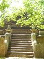 Steps to Stupa - Magul Maha Viharaya - Pottuvil