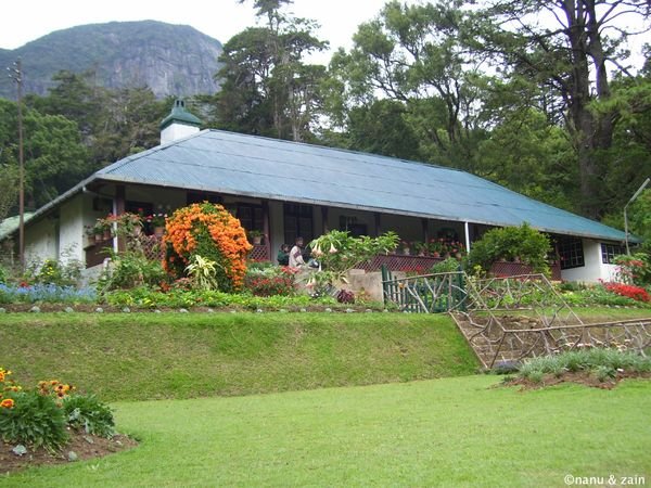 Hakgala Botanical Garden - Nuwara Eliya