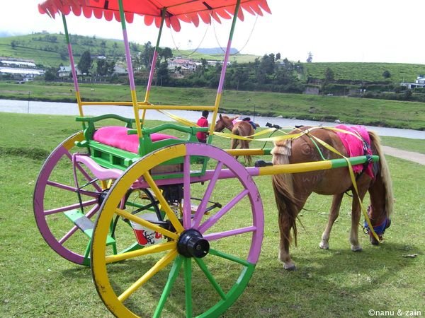 Colourful horse cart - Nuwara Eliya